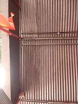 ipvk online show from 04-21-26, 07:03