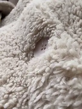 RonnieKiss online show from 10-24-25, 03:25