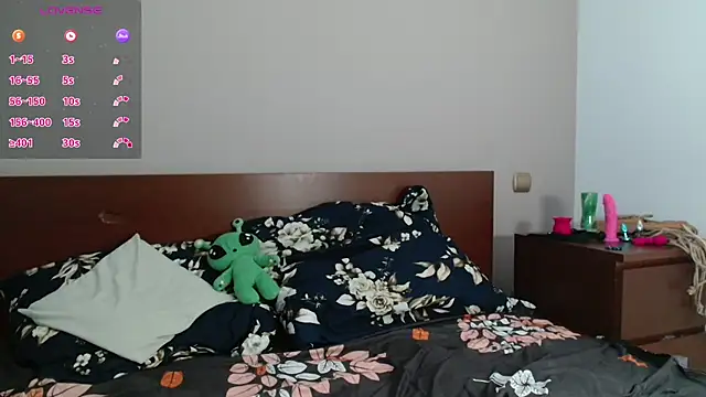 Snapshot of HardNerdVoid chatting on 10-14-25, 03:57 HardNerdVoid online show from 10-14-25, 03:57