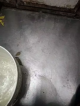 Snapshot of telugumodda4396 chatting on 11-12-25, 01:50 telugumodda4396 online show from 11-12-25, 01:50