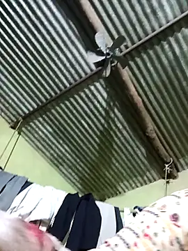 Haliya88 online show from 02-26-26, 08:52