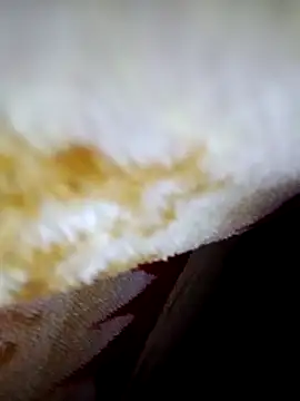 alone boy802 online show from 10-06-25, 04:15