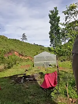 Helen-Tran online show from 10-24-25, 01:35