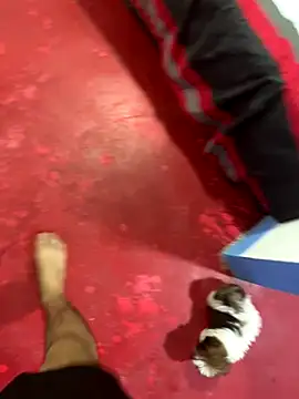 Snapshot of hot_duo16 chatting on 10-29-25, 04:15 hot duo16 online show from 10-29-25, 04:15