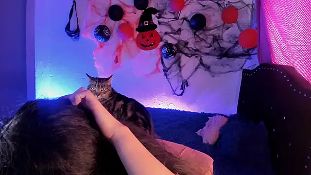 kitty  chs online show from 11-01-25, 05:26