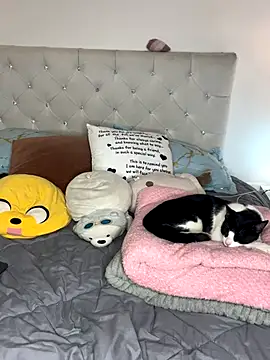 Snapshot of sunnymoonn_1 chatting on 10-02-25, 08:05 sunnymoonn 1 online show from 10-02-25, 08:05