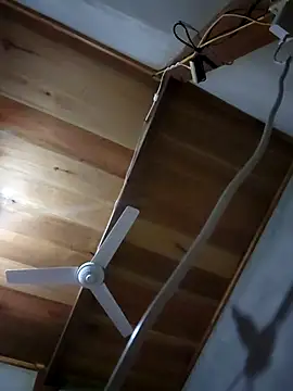 Meoweo 23 online show from 10-01-25, 11:55