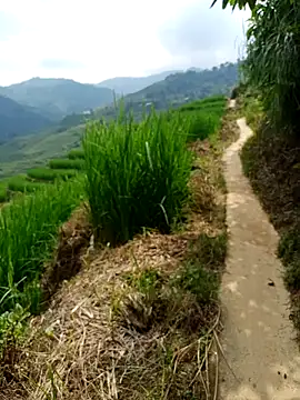 nhinhi-sexy online show from 10-10-25, 05:39