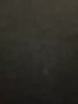 lee ly online show from 12-15-25, 11:36