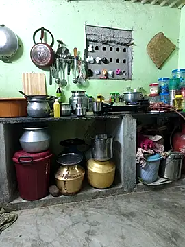 Tamilselviroja- online show from 02-13-26, 02:46