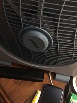 -bunny06 online show from 10-02-25, 07:10