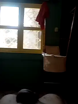 Snapshot of Roberto27052 chatting on 10-29-25, 03:47 Roberto27052 online show from 10-29-25, 03:47