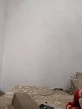 PEEHU-50 online show from 11-28-25, 03:20