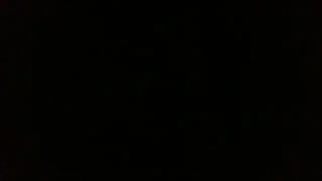 Venus cat  online show from 01-08-26, 04:37