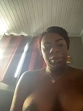 Priihmedeiros online show from 02-14-26, 10:12