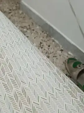 Snapshot of Lucastra98 chatting on 11-05-25, 08:14 Lucastra98 online show from 11-05-25, 08:14