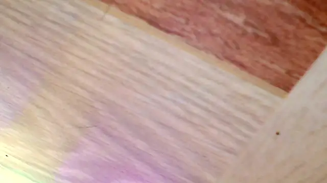 shannon kinne  online show from 03-31-26, 04:40