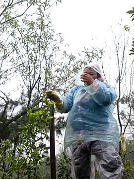 miomio-12 online show from 11-18-25, 02:28