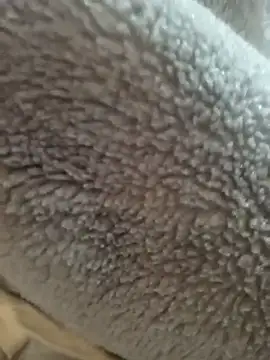 Saif b11b online show from 03-24-26, 10:15