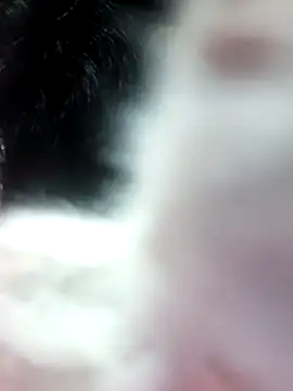 anjali2351 online show from 02-10-26, 02:21