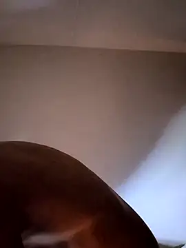 felipelon07 online show from 11-28-25, 05:10