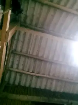 Snapshot of Ducky27021991 chatting on 10-18-25, 12:17 Ducky27021991 online show from 10-18-25, 12:17