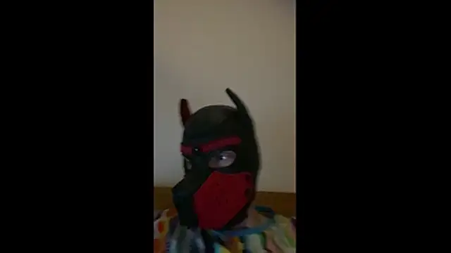 MolleDolle online show from 03-01-26, 08:44