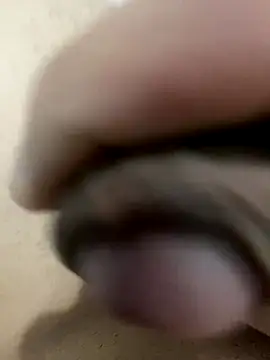 leiteiro2002 online show from 12-14-25, 11:37