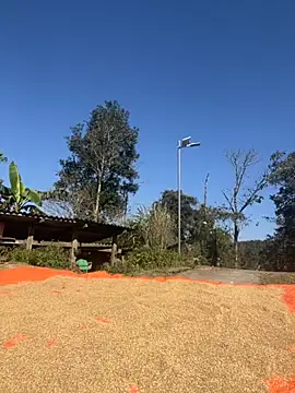 miemie-xx online show from 11-26-25, 03:18