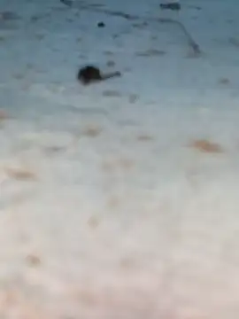 Snapshot of Ut_kanchna chatting on 10-26-25, 12:22 Ut kanchna online show from 10-26-25, 12:22