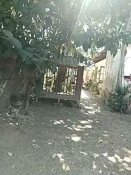 SL BEAR online show from 03-26-26, 04:18