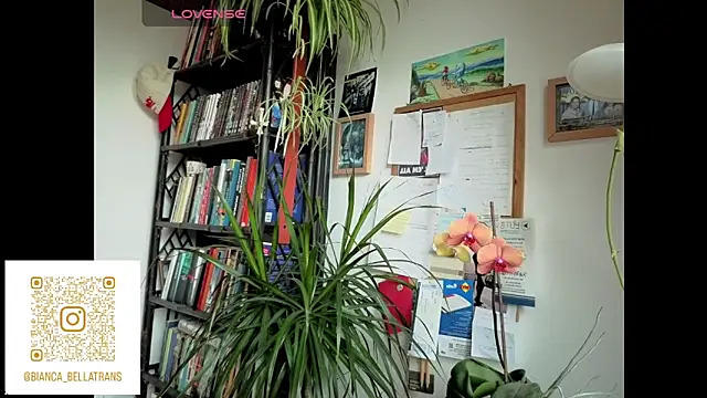 bianca bellamy online show from 06-09-26, 07:42