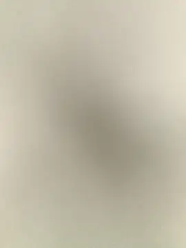 Anchal-8798 online show from 12-17-25, 06:14