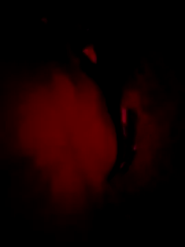 MoonQxX online show from 01-09-26, 05:26