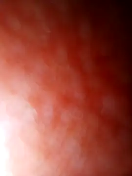 jhbswto online show from 10-30-25, 09:48