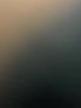 Siya-20 online show from 01-15-26, 08:41