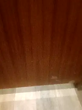 leeya14 online show from 10-11-25, 04:12