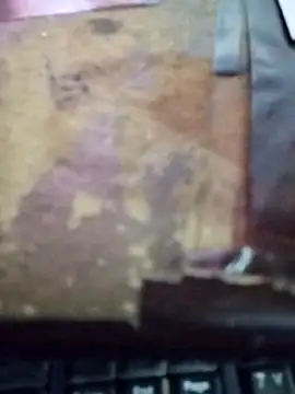 Bosy Arab online show from 11-25-25, 09:48