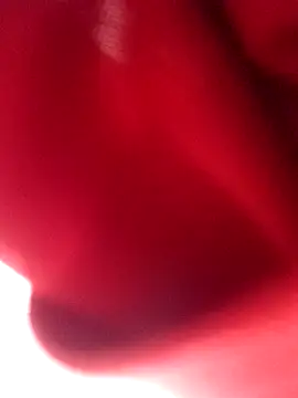 nalgastalla60 online show from 02-06-26, 03:55