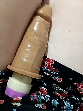 Taradinha pelosogro online show from 10-24-25, 12:01