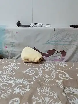 caige8888 online show from 11-17-25, 11:05