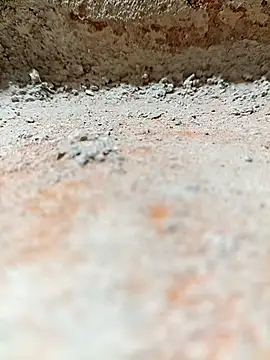 Rajni chauhan online show from 11-02-25, 08:11