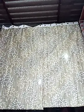 Rajni chauhan online show from 12-15-25, 04:11