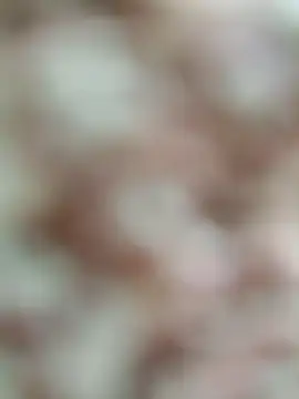 Rajni chauhan online show from 03-19-26, 04:44