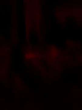 Snapshot of goloso80 chatting on 05-22-26, 02:51 goloso80 online show from 05-22-26, 02:51