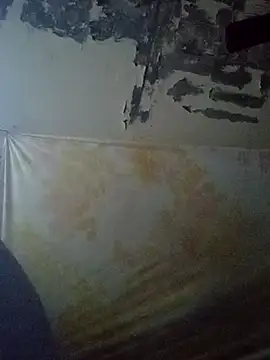 Snapshot of Cogelonregio chatting on 10-27-25, 11:41 Cogelonregio online show from 10-27-25, 11:41