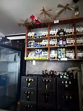 catalella16 online show from 01-11-26, 02:22