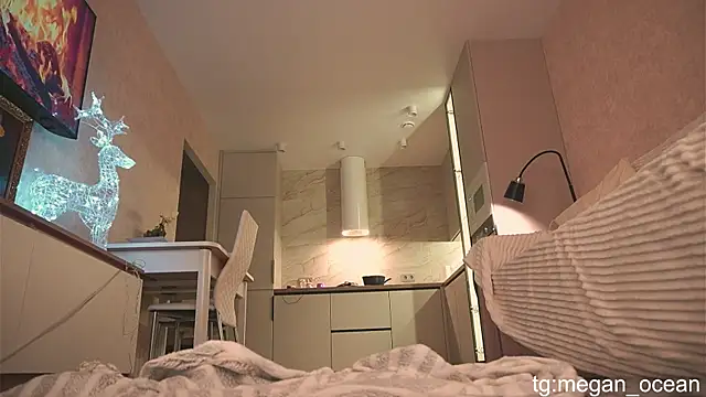 Megan galactica online show from 11-30-25, 04:11