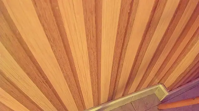 mia  blaze   online show from 01-15-26, 03:00