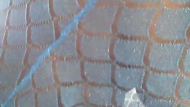 Hotcougar online show from 03-08-26, 05:44